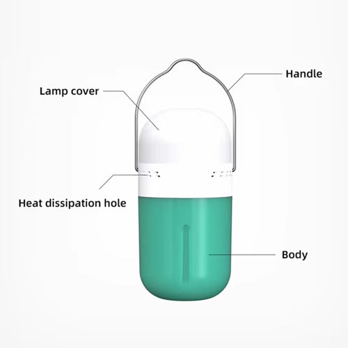 ION Light